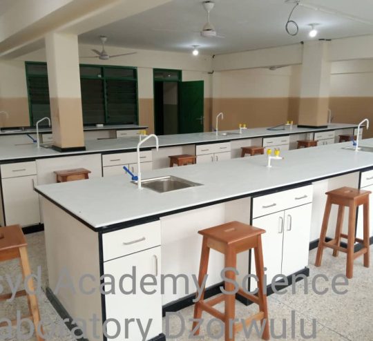 alphajoy lab gallery