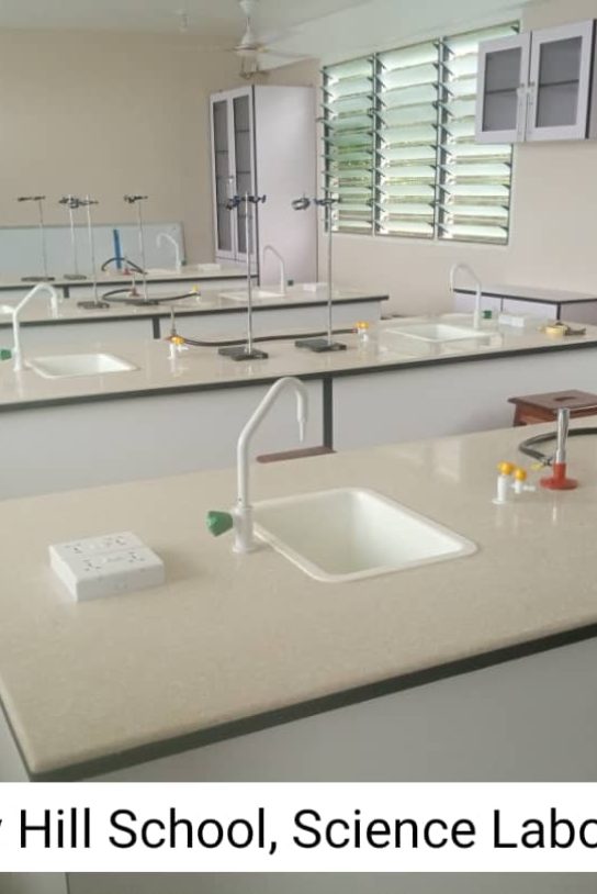 alphajoy lab gallery
